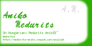 aniko medurits business card